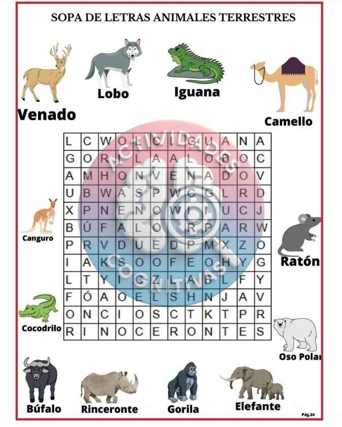 Ejercicio de concentración